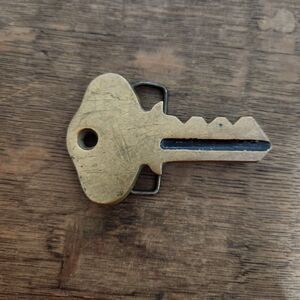 Vintage Brass Big Key belt Buckle Western Hipster Grunge Y2k Retro Rockabilly